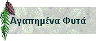 Αγαπημένα Φυτά